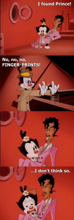 tumblr_lh1avnzpDr1qgpkt0o1_500.jpg