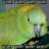 709300