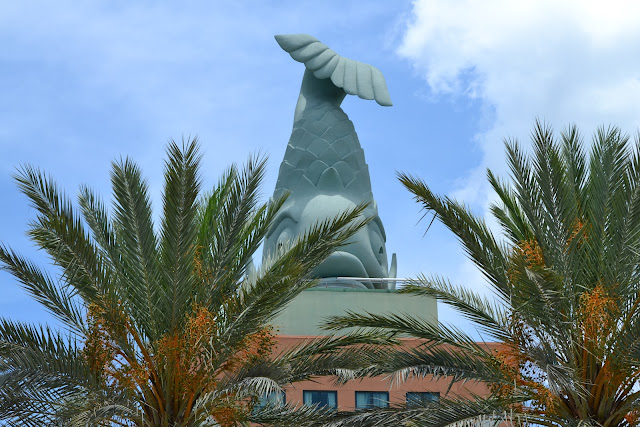DSC_0013.JPG