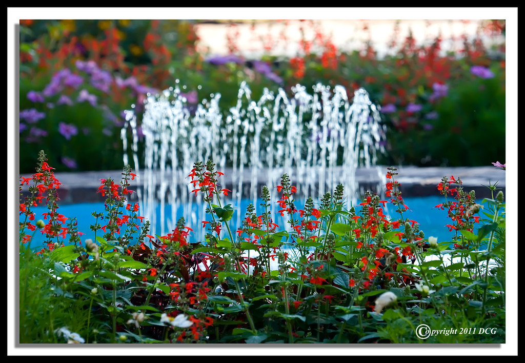Fountain-07-31-13cr-XL.jpg