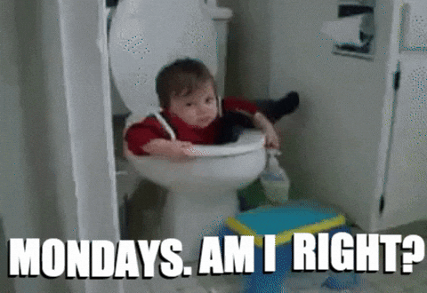 Image result for monday gif