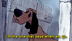 tumblr_n8y11gwlBT1rg6i70o5_r1_250.gif