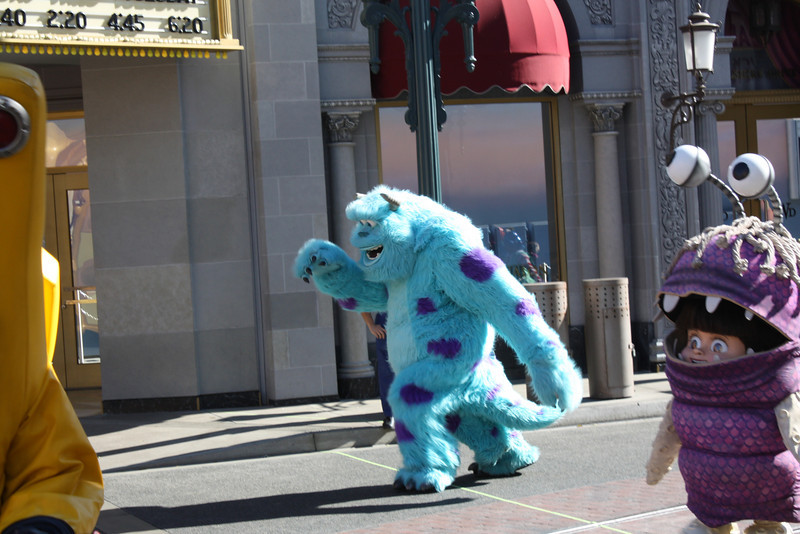 IMG9998-L.jpg