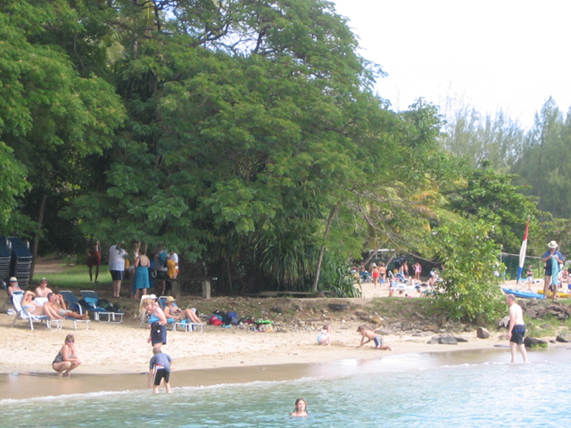 st_lucia_beach.jpg