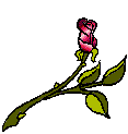 7775i6ifynum8i.gif