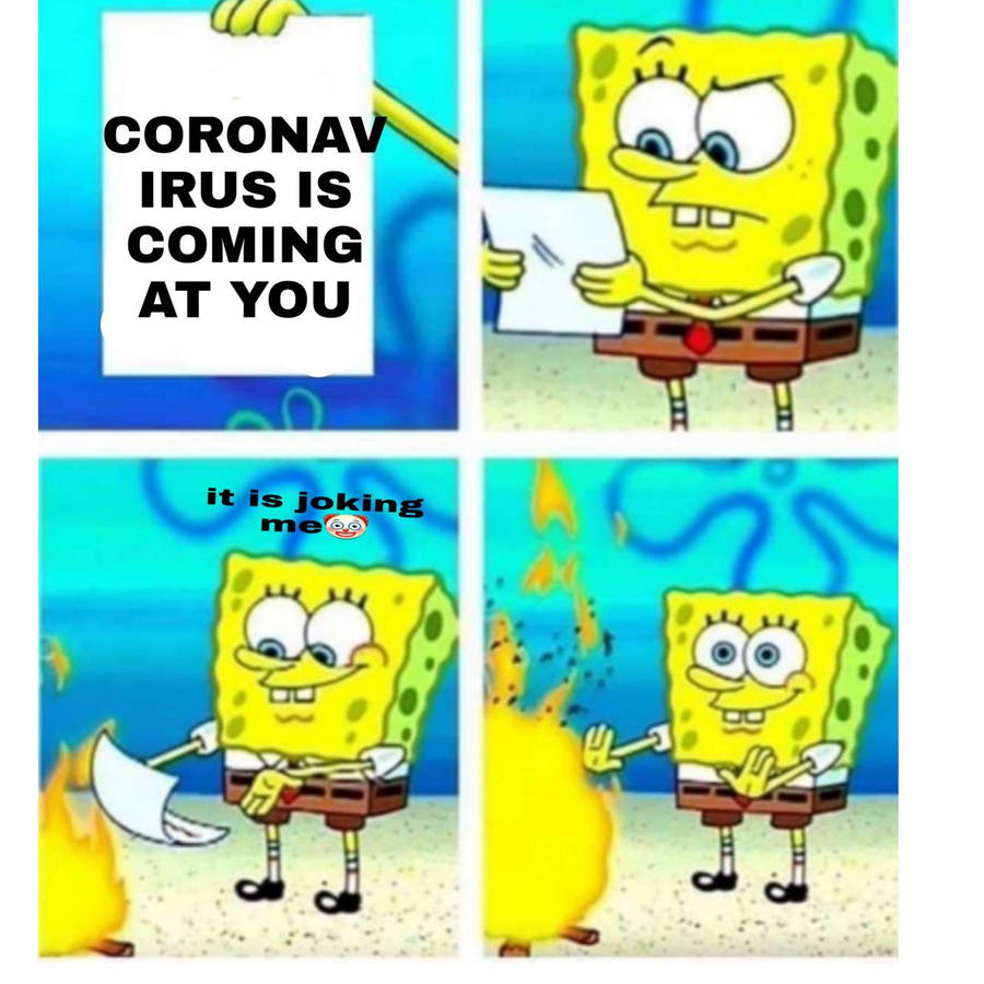 mkhdn.jpg