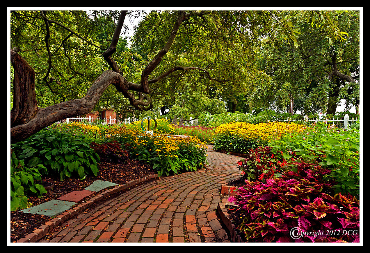 Flower-Garden-08-02-10cr-X2.jpg