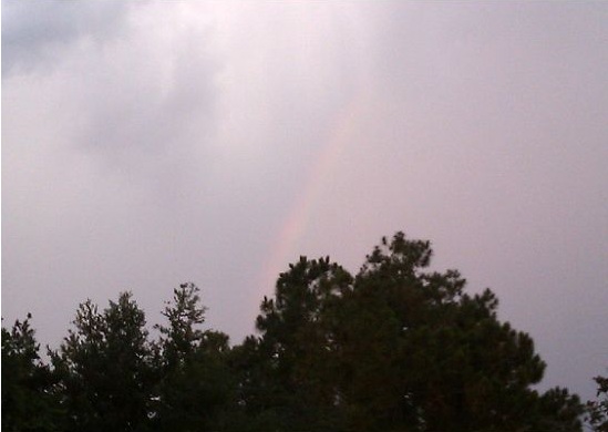 bdwalk1raindbow.jpg