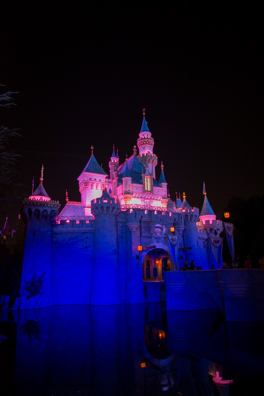 DSC_1034%20(Large).jpg