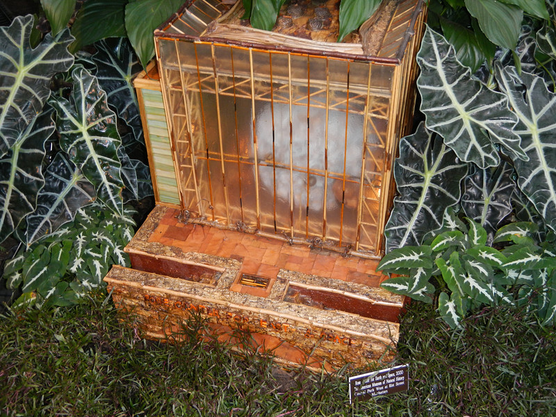 DSCN9563-L.jpg