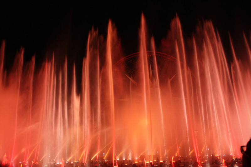 IMG0531-L.jpg