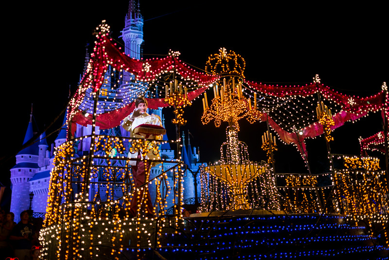 DSC_6028-L.jpg