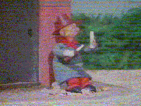 windy.gif