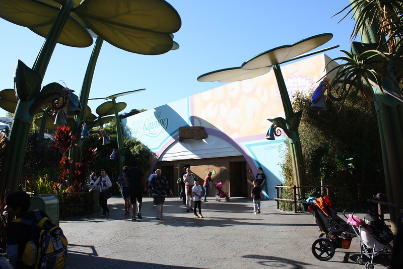 IMG0180-L.jpg