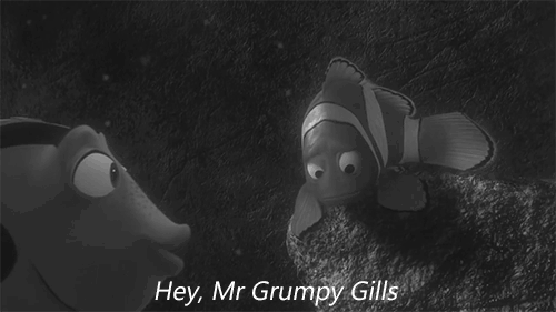 tumblr_ndhoj5a3yw1rmfaslo1_500.gif