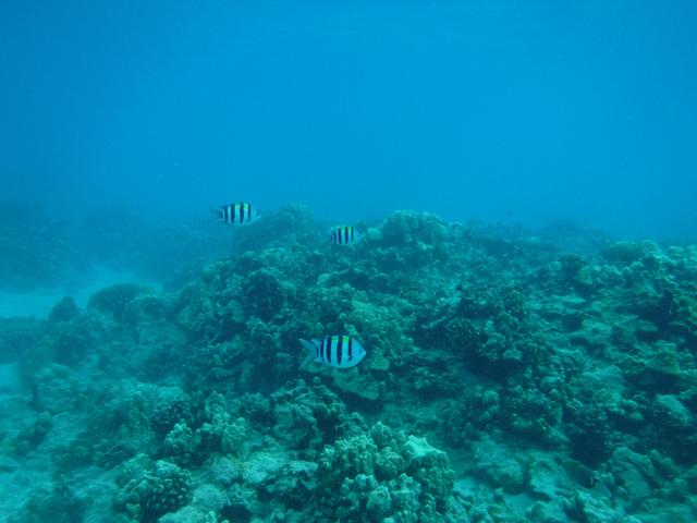 DSCF0414.jpg