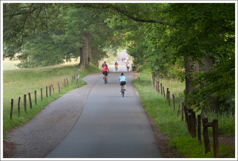 lots-of-cyclists.jpg