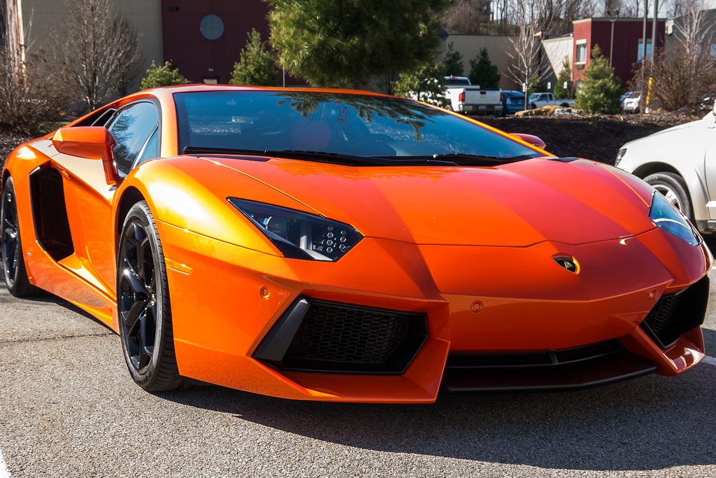 DSC01617-XL.jpg