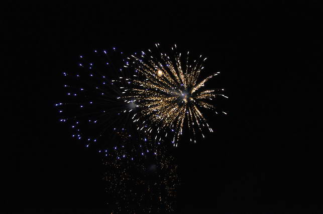 DSC_0913.JPG
