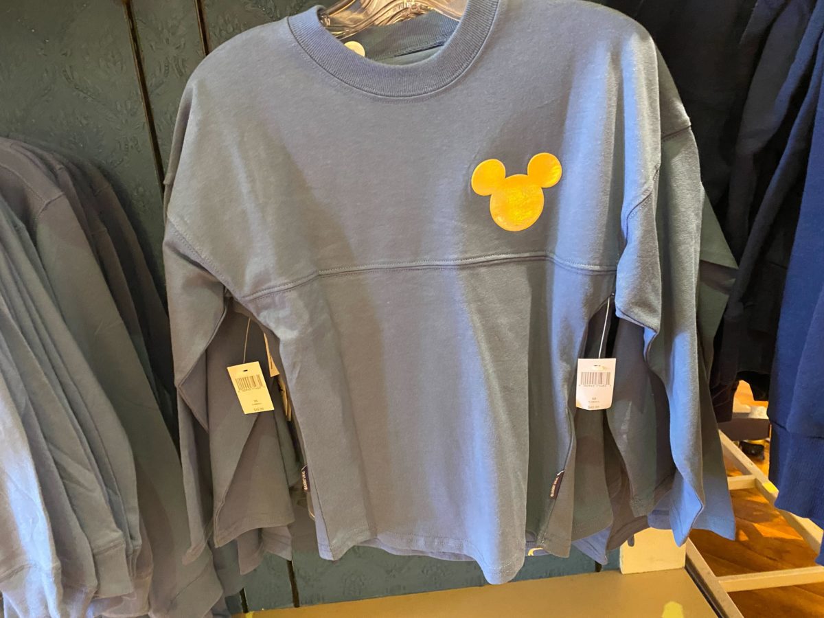 Disneyland-EARidescent-Shimmer-Youth-Spirit-Jersey-2-1200x900.jpg