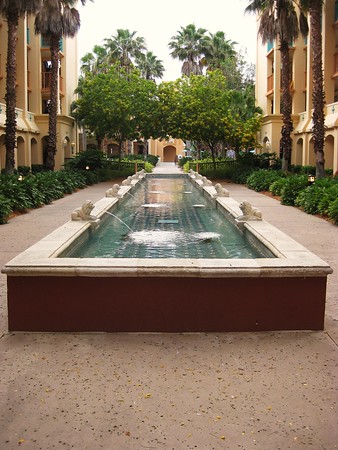 534310922_SCSPA-M.jpg