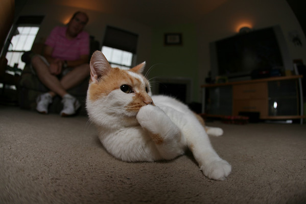 334317349_an449-M.jpg
