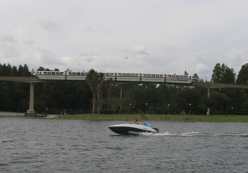 WDW%20354-L.jpg