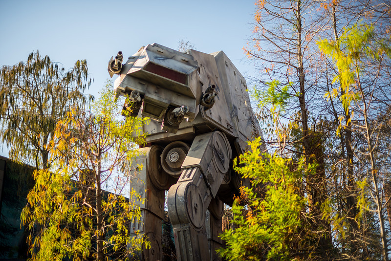 DSC_6000-L.jpg