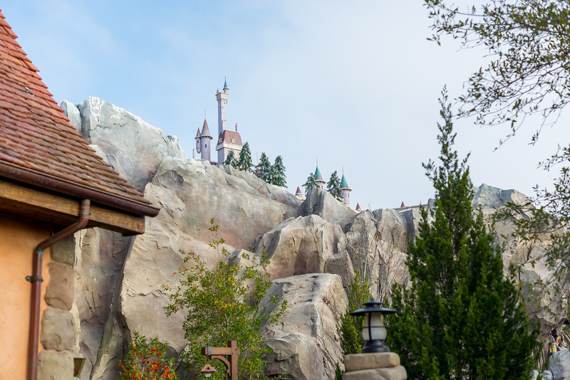 DSC_6474-L.jpg