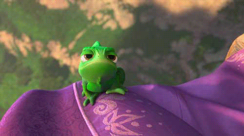 tumblr_lidefj6T8e1qdg533o1_500.gif