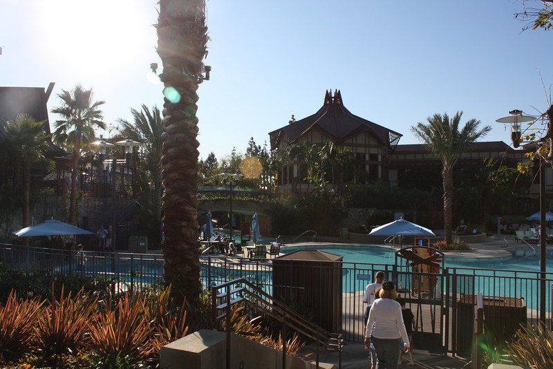 IMG0243-L.jpg