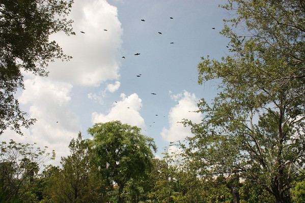 600381277_4mWC2-M.jpg