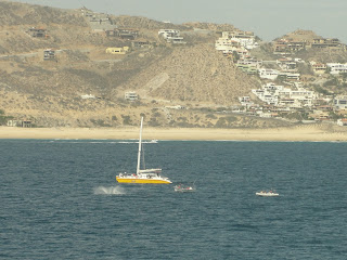 DSC08916.JPG