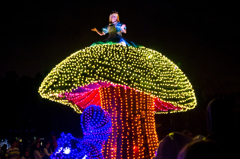 DSC1513-L.jpg