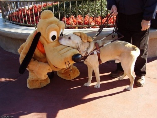 tumblr_lrll0bBU801r14y6ko1_500.jpg