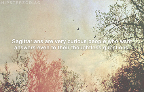 tumblr_lj089dJchn1qhb9d7o1_500.png