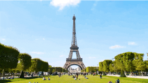 giphy.gif