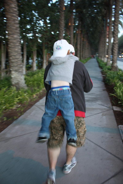 IMG0335-L.jpg