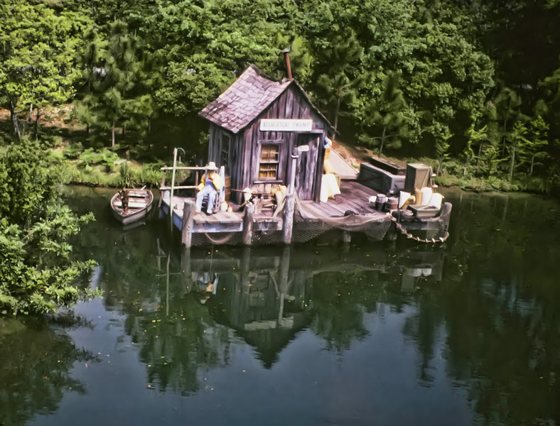 Alligator-Swamp-1979-L.jpg
