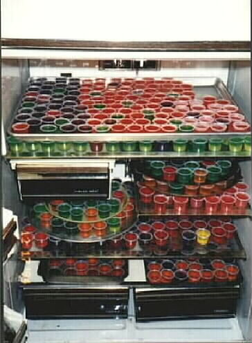 jello3.jpg