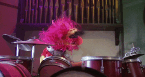 giphy.gif