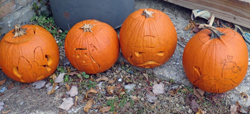 hallopumpkins.jpg