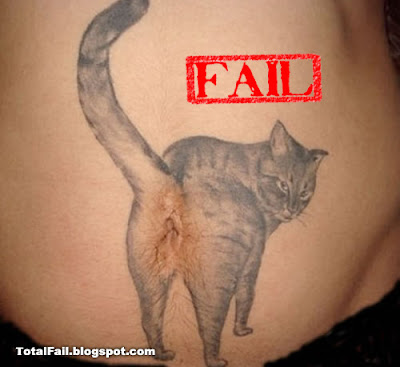 cat-belly-