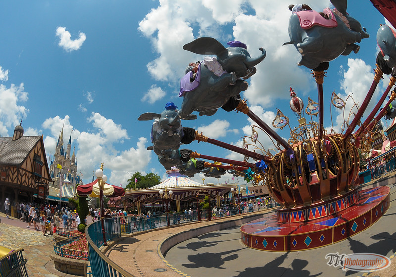 DSC2152-L.jpg