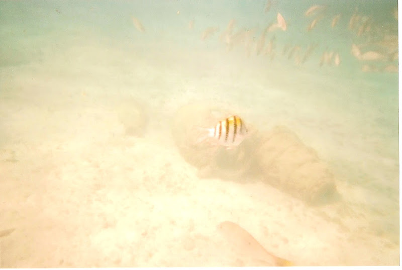 scan0002.jpg
