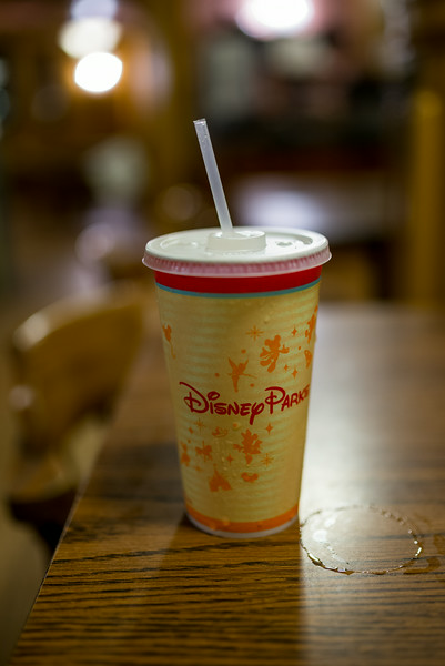 DSC_6096-L.jpg