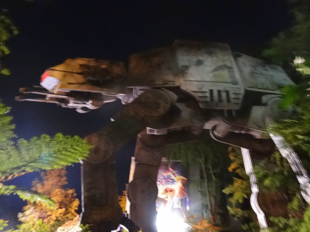 26844705420_110258d4aa_b.jpg