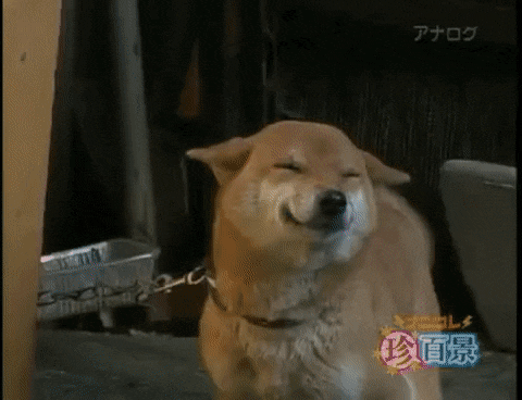 freedom-fries-5.gif