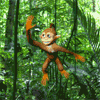 swinging-monkey.gif