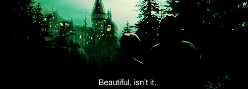 tumblr_lo0g4wOf5F1qaj3cno1_500.gif